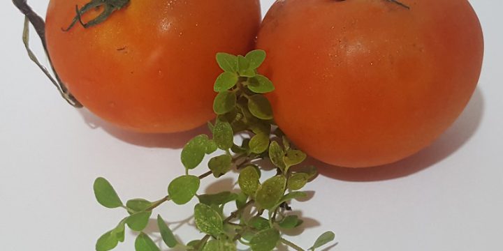 Molho de Tomate