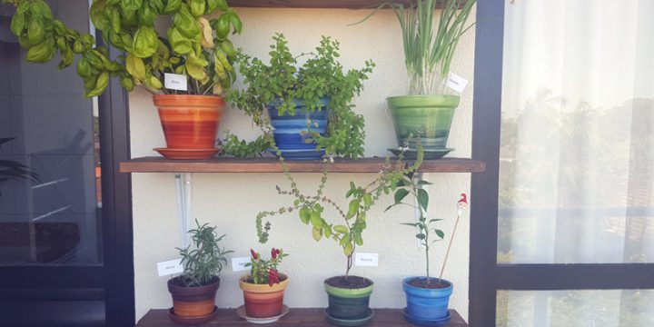 Horta