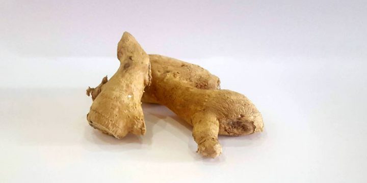 Gengibre