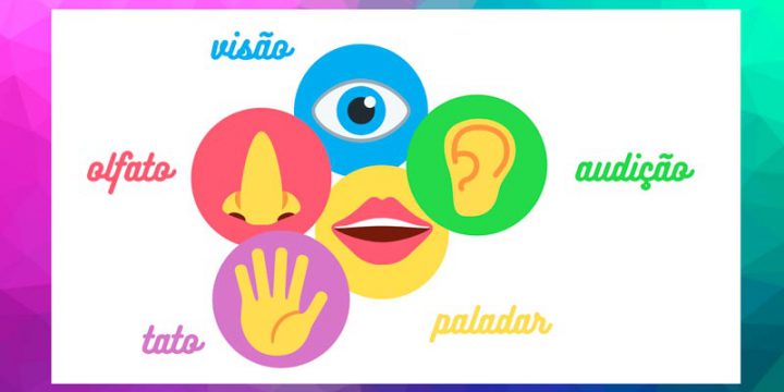 5 sentidos